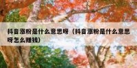 抖音涨粉是什么意思呀（抖音涨粉是什么意思呀怎么赚钱）