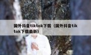 国外抖音tiktok下载（国外抖音tiktok下载最新）