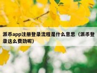 派币app注册登录流程是什么意思（派币登录这么费劲呢）