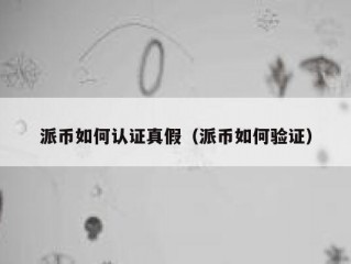派币如何认证真假（派币如何验证）