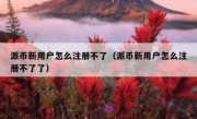 派币新用户怎么注册不了（派币新用户怎么注册不了了）