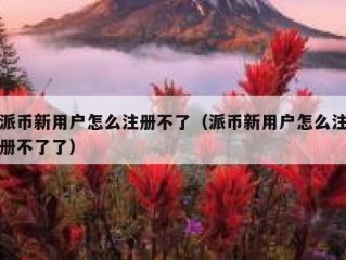 派币新用户怎么注册不了（派币新用户怎么注册不了了）