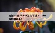 越南抖音tiktok怎么下载（tiktok越南版本）