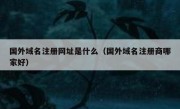 国外域名注册网址是什么（国外域名注册商哪家好）