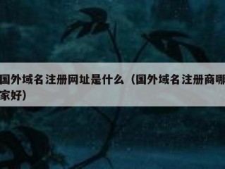 国外域名注册网址是什么（国外域名注册商哪家好）