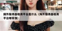 国外服务器租用平台是什么（海外服务器租用平台哪家强）