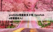 youtube观看量多少钱（youtube观看量收入）