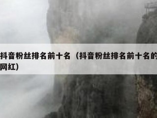 抖音粉丝排名前十名（抖音粉丝排名前十名的网红）