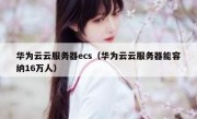 华为云云服务器ecs（华为云云服务器能容纳16万人）