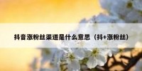 抖音涨粉丝渠道是什么意思（抖+涨粉丝）