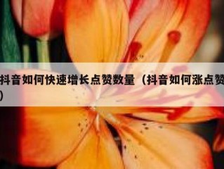 抖音如何快速增长点赞数量（抖音如何涨点赞）