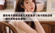重庆电子抓拍违章几天能查到（电子抓拍违章一般几天有信息通知）