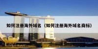 如何注册海外域名（如何注册海外域名商标）