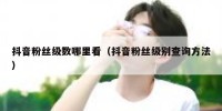 抖音粉丝级数哪里看（抖音粉丝级别查询方法）