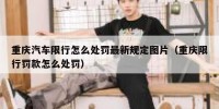 重庆汽车限行怎么处罚最新规定图片（重庆限行罚款怎么处罚）