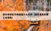 派币审核名字教程是什么软件（派币是真的要上交易吗）