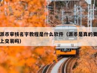 派币审核名字教程是什么软件（派币是真的要上交易吗）