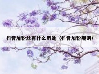 抖音加粉丝有什么用处（抖音加粉规则）