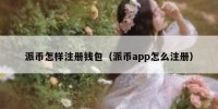 派币怎样注册钱包（派币app怎么注册）