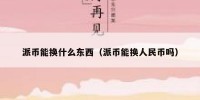 派币能换什么东西（派币能换人民币吗）