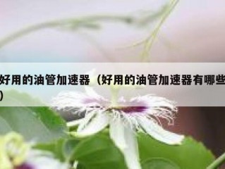 好用的油管加速器（好用的油管加速器有哪些）