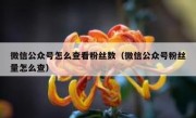 微信公众号怎么查看粉丝数（微信公众号粉丝量怎么查）