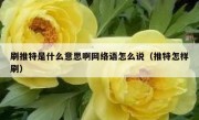 刷推特是什么意思啊网络语怎么说（推特怎样刷）