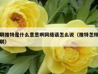 刷推特是什么意思啊网络语怎么说（推特怎样刷）