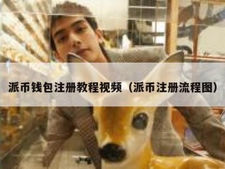 派币钱包注册教程视频（派币注册流程图）