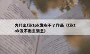 为什么tiktok发布不了作品（tiktok发不出去消息）