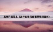 怎样钓苦花鱼（怎样钓苦花鱼视频教程图解）