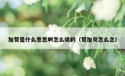 加赞是什么意思啊怎么读的（赞加贝怎么念）