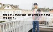 视频号怎么关注粉丝呢（微信视频号怎么关注关注我的人）