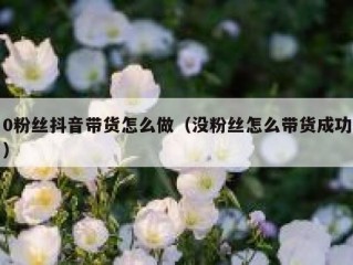 0粉丝抖音带货怎么做（没粉丝怎么带货成功）
