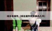 域名有国外（域名国外转移国内几天）