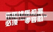 ins别人可以看到你的访问记录吗（ins能看到别人在线吗）