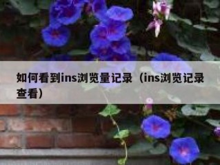 如何看到ins浏览量记录（ins浏览记录查看）