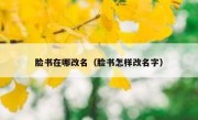 脸书在哪改名（脸书怎样改名字）