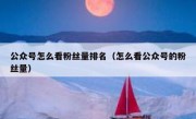 公众号怎么看粉丝量排名（怎么看公众号的粉丝量）