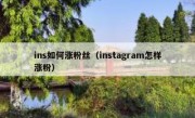 ins如何涨粉丝（instagram怎样涨粉）