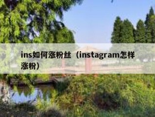 ins如何涨粉丝（instagram怎样涨粉）