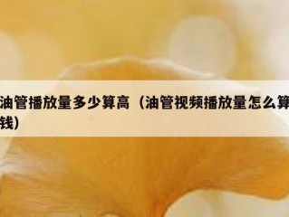 油管播放量多少算高（油管视频播放量怎么算钱）