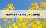 想用ins怎么设置网络（ins上网教程）
