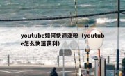 youtube如何快速涨粉（youtube怎么快速获利）