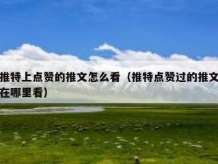 推特上点赞的推文怎么看（推特点赞过的推文在哪里看）