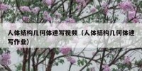 人体结构几何体速写视频（人体结构几何体速写作业）