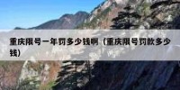 重庆限号一年罚多少钱啊（重庆限号罚款多少钱）
