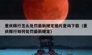 重庆限行怎么处罚最新规定图片查询下载（重庆限行如何处罚最新规定）