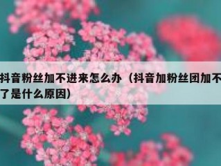 抖音粉丝加不进来怎么办（抖音加粉丝团加不了是什么原因）