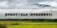 派币验证不了怎么办（派币验证需要多久）